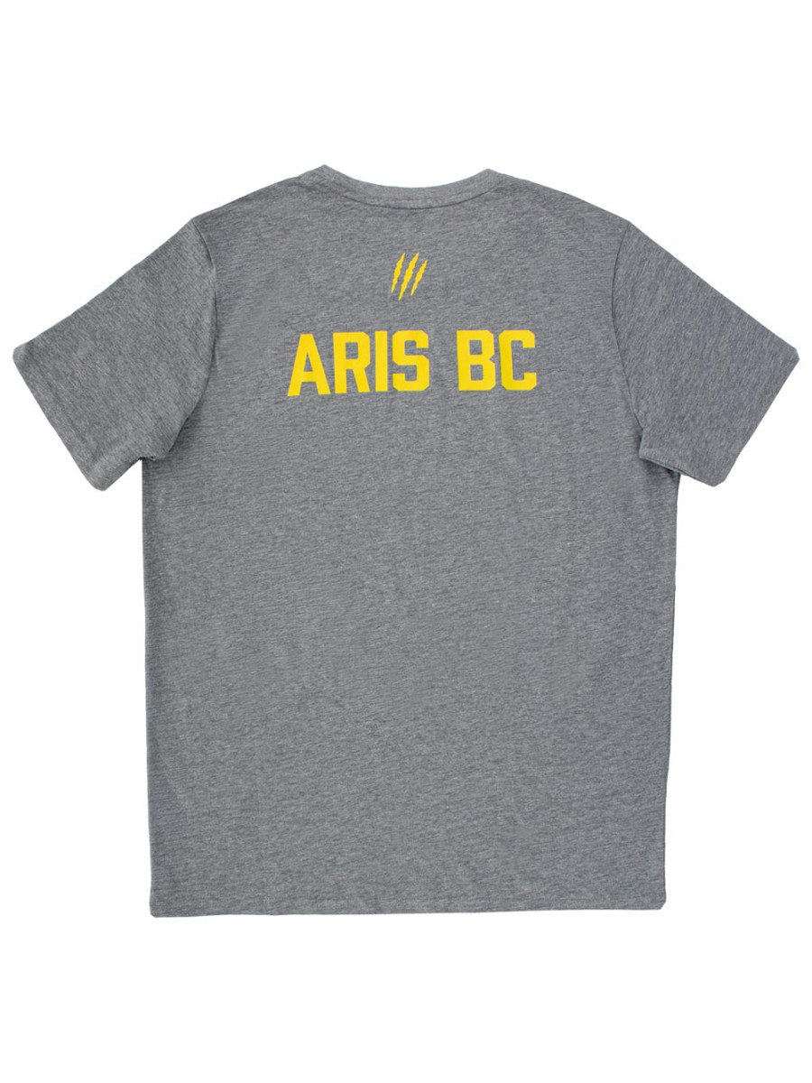 Puma Unisex κοντομάνικη μπλούζα x Aris B.C. teamGOAL Casual T-Shirt